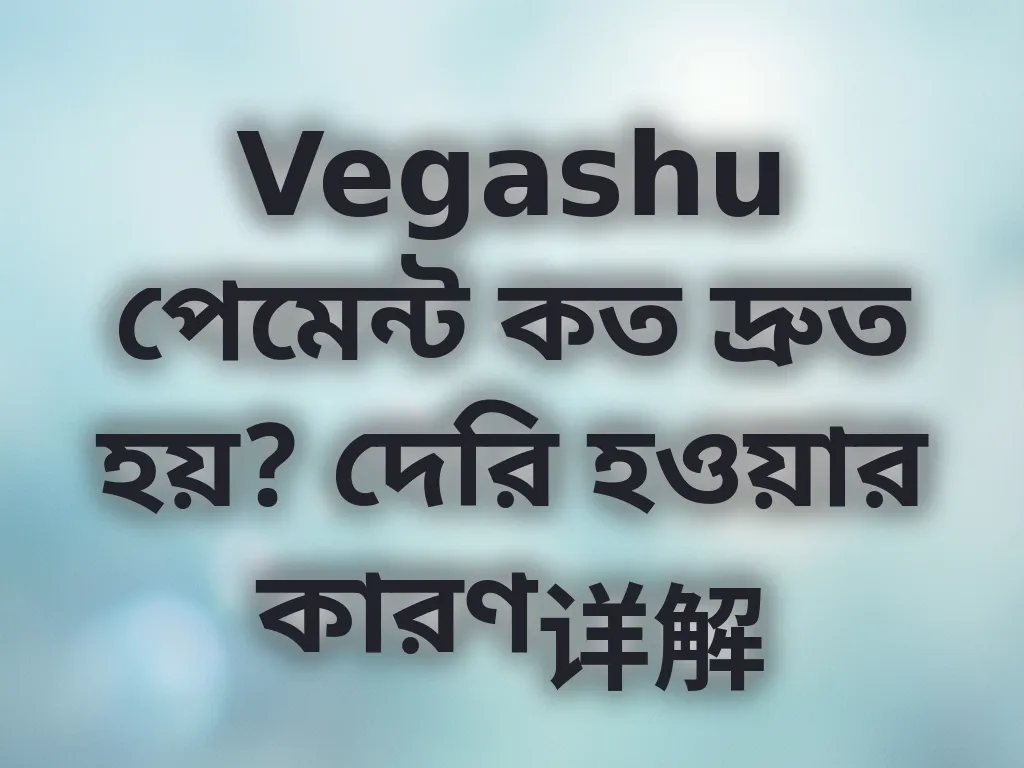 Vegashu পেমেন্ট প্রসেসিং